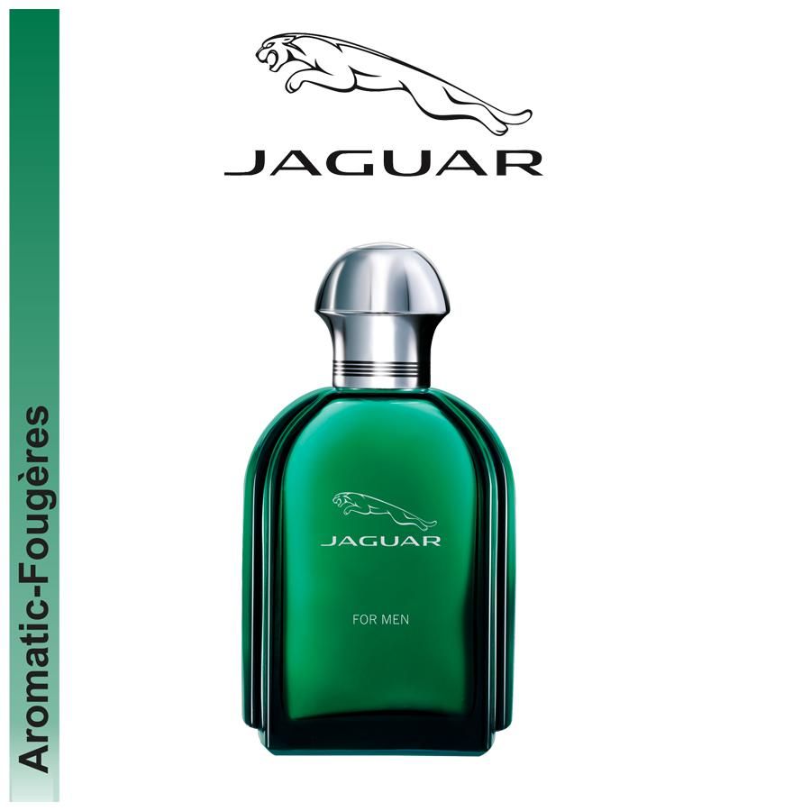 Jaguar For Men Eau De Toilette (100 ml) Jaguar