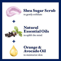 Dr Teal's Shea Sugar Body Scrub Black Elderberry With Essential Oils (538g) Dr Teal's