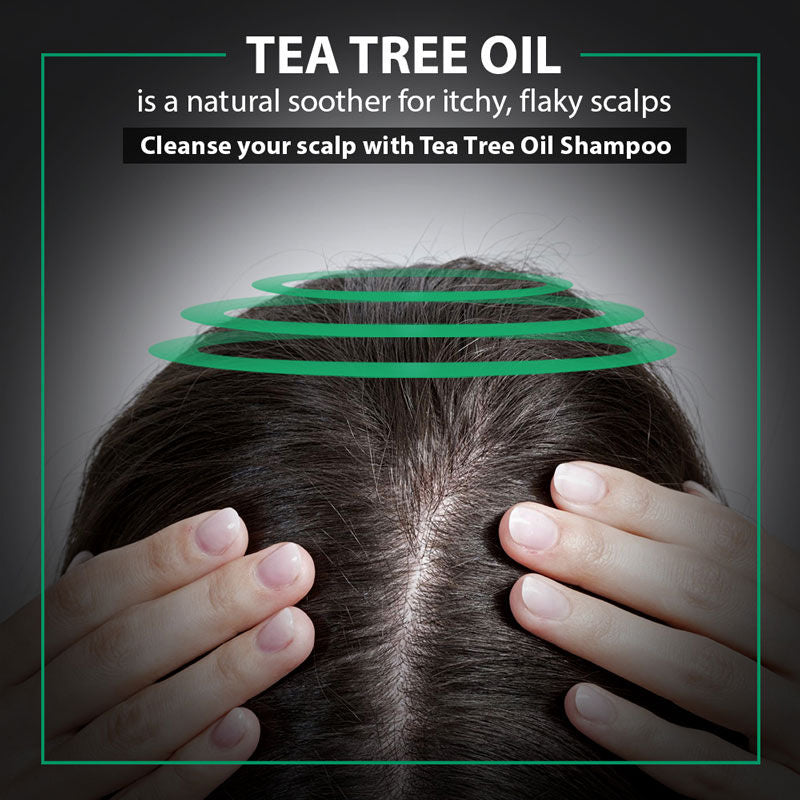 De Fabulous Tea Tree Oil Shampoo + Conditioner (250ml+250ml) De Fabulous
