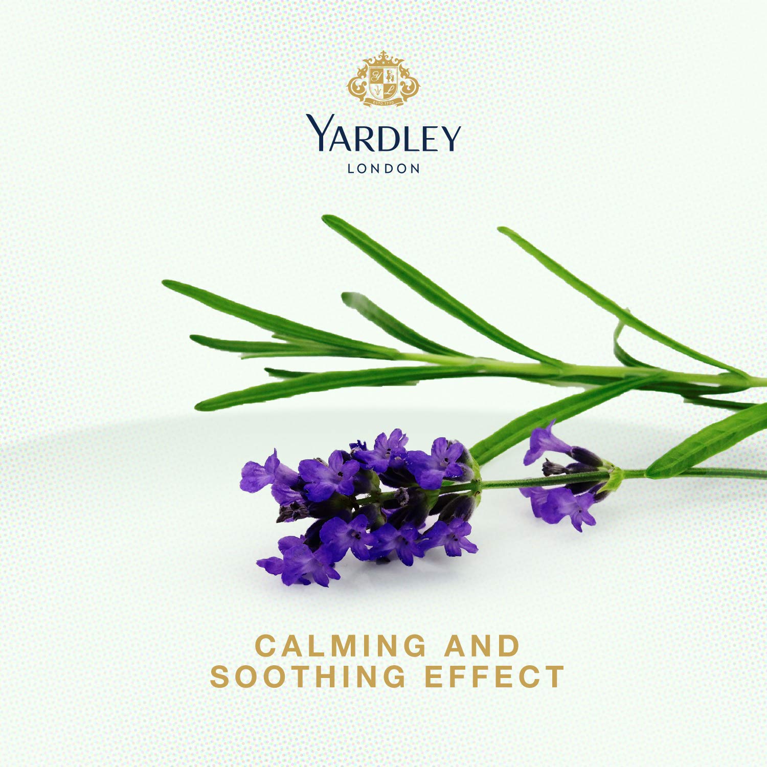 Yardley English Lavender Hair Cream (150 g) Beautiful