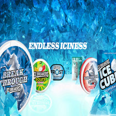 Ice BreakersIce Cubes Wintergreen Sugar Free Gum (40 pieces) Beautiful