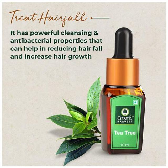 Organic Harvest Tea Tree Essential Oil (10ml) Organic Harvest