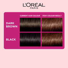 L'Oreal Paris Casting Creme Gloss Hair Color - Medium Brown 500 (87.5 g + 72 ml) L'Oreal Paris