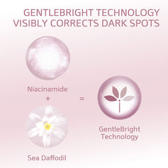 Cetaphil Bright Healthy Radiance Brightening Night Comfort Cream (50 g) Cetaphil