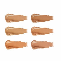 PAC Go Concealer X6 PAC