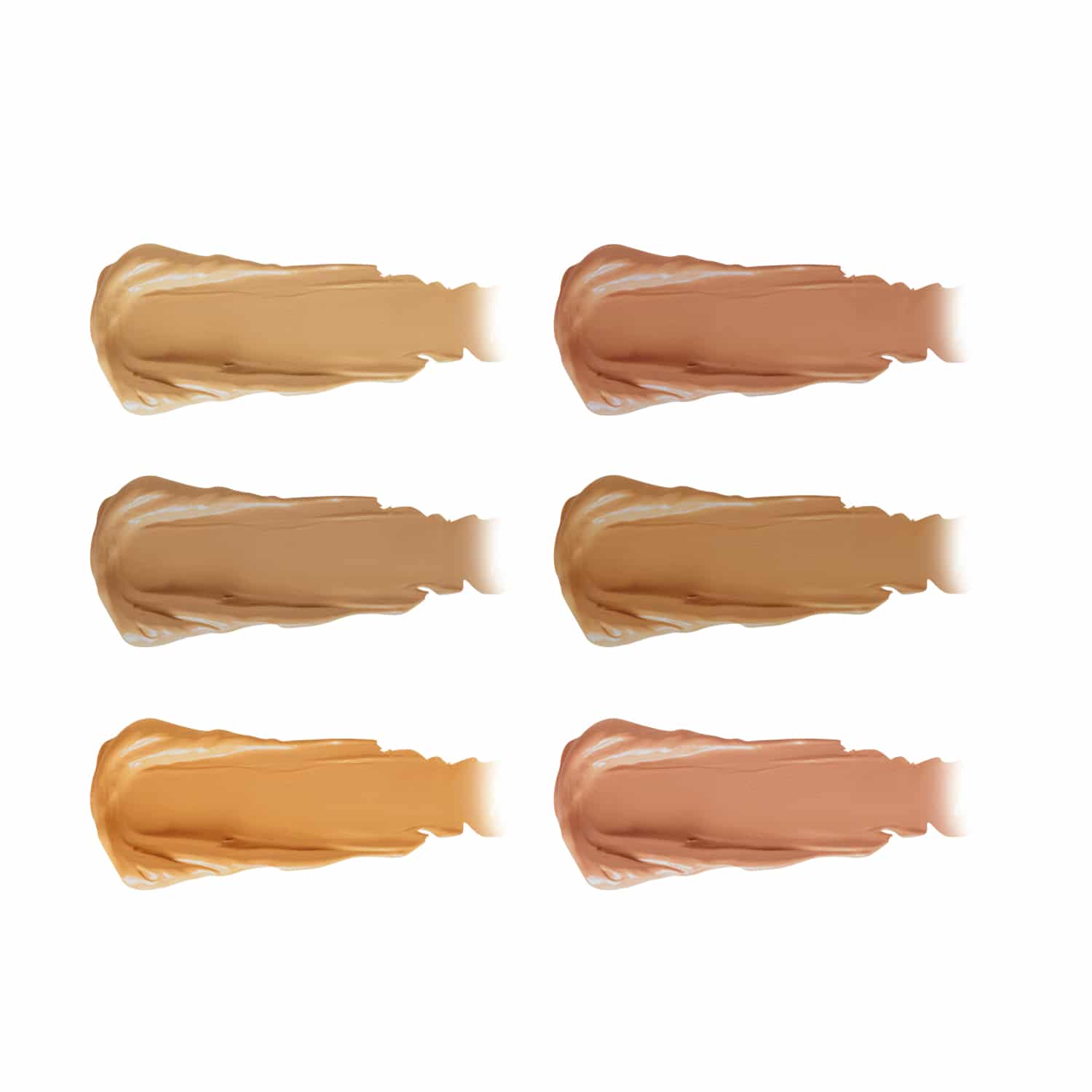 PAC Go Concealer X6 PAC