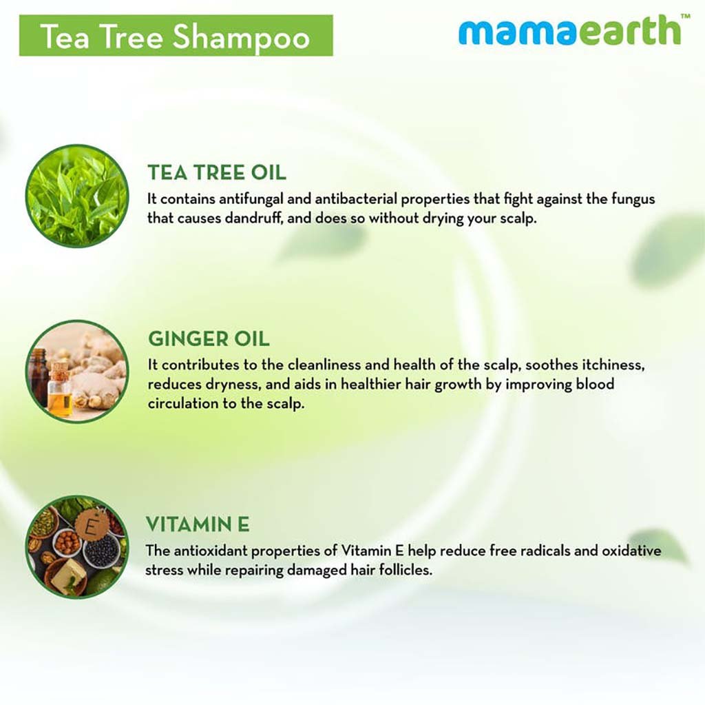 MamaEarth Tea Tree Shampoo for Dandruff Free Hair (250 ml) MamaEarth